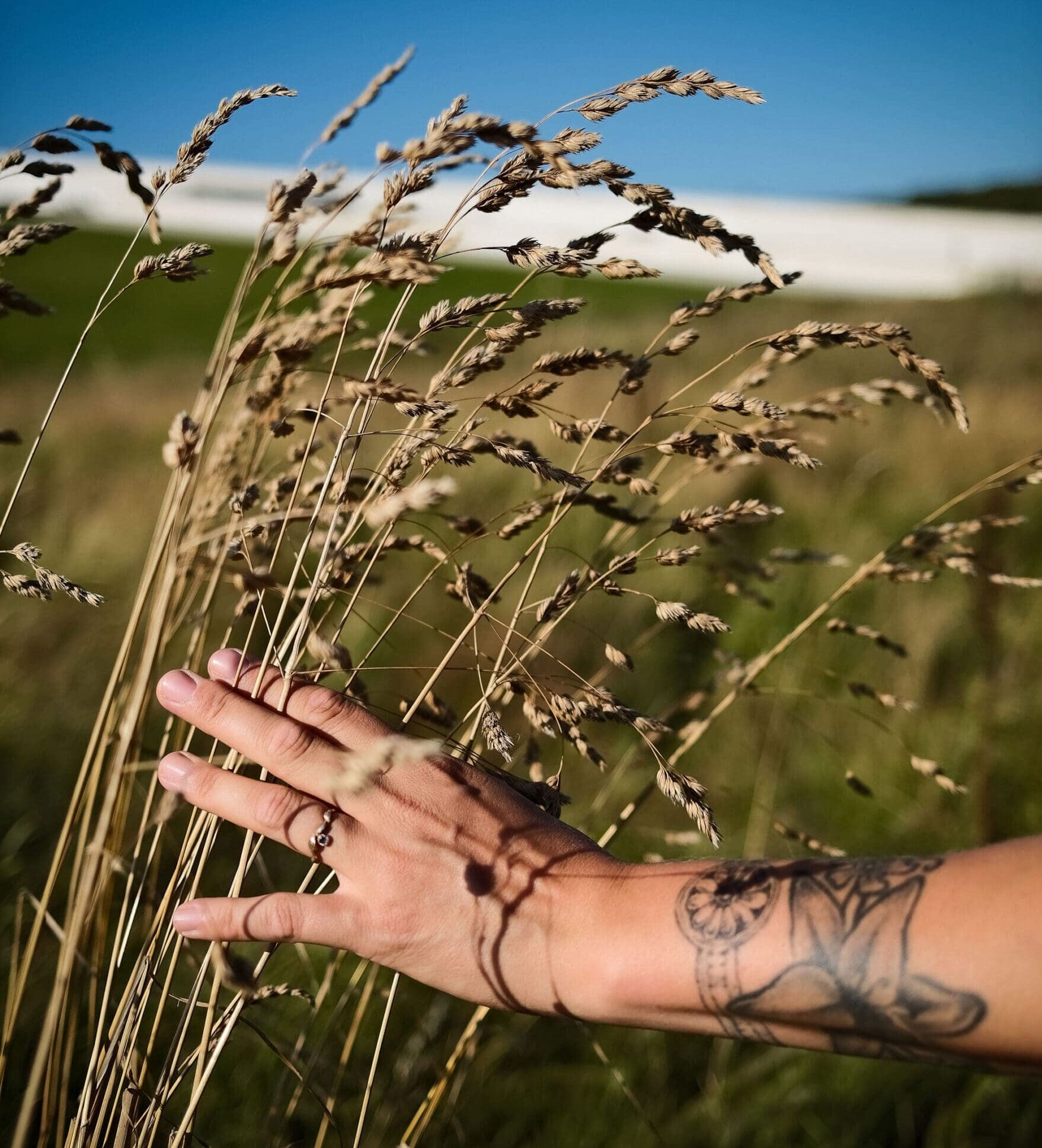 Online Community Scaled E1763542189764